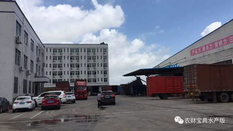 饲料厂被打成窟窿 珠海海壹 恒兴受损严重,容川 海龙 德海 海为 世海均受影响